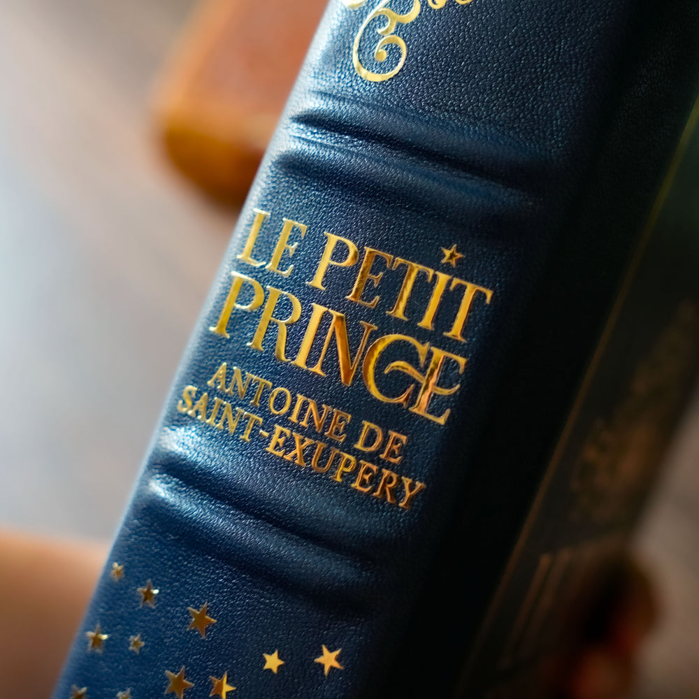 Livres en cuir