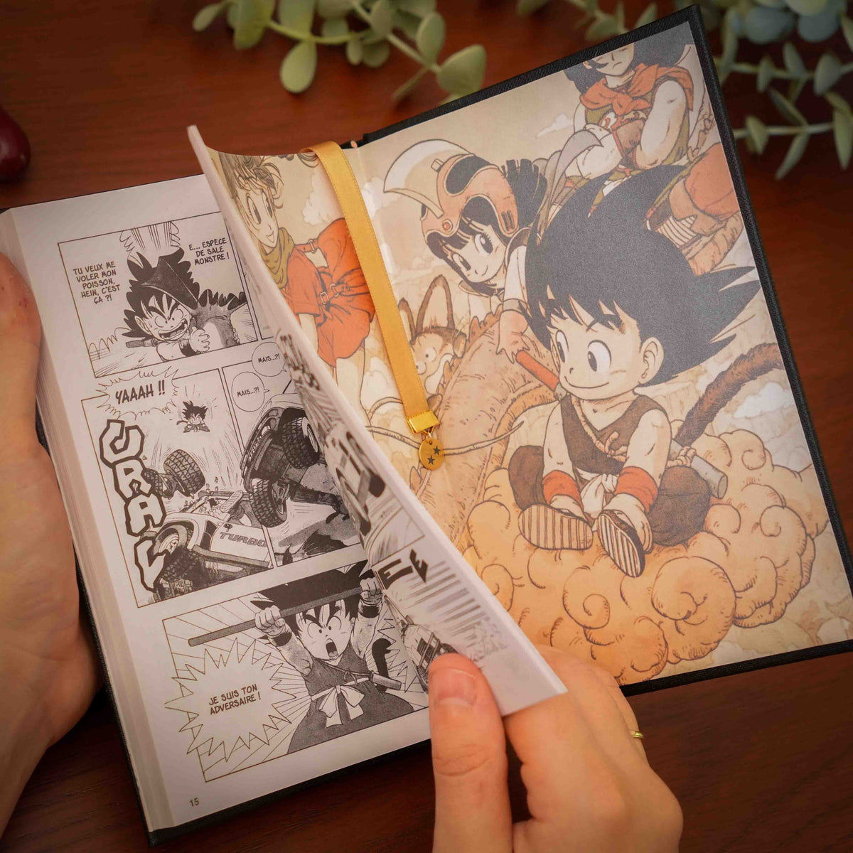 Dragon Ball · Tome 1