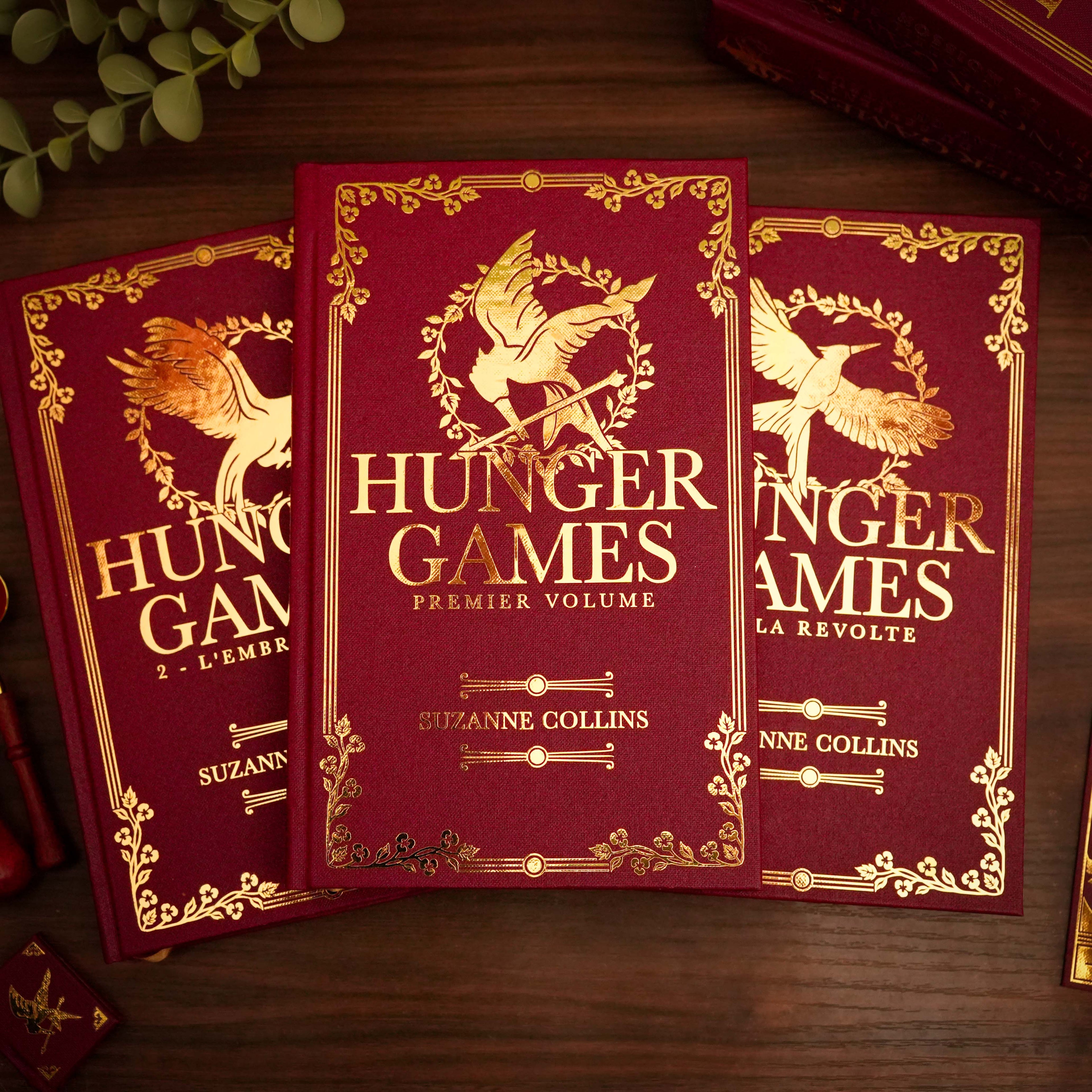 HUNGER GAMES (1 à 5) - Relié à la main · Toile de Reliure