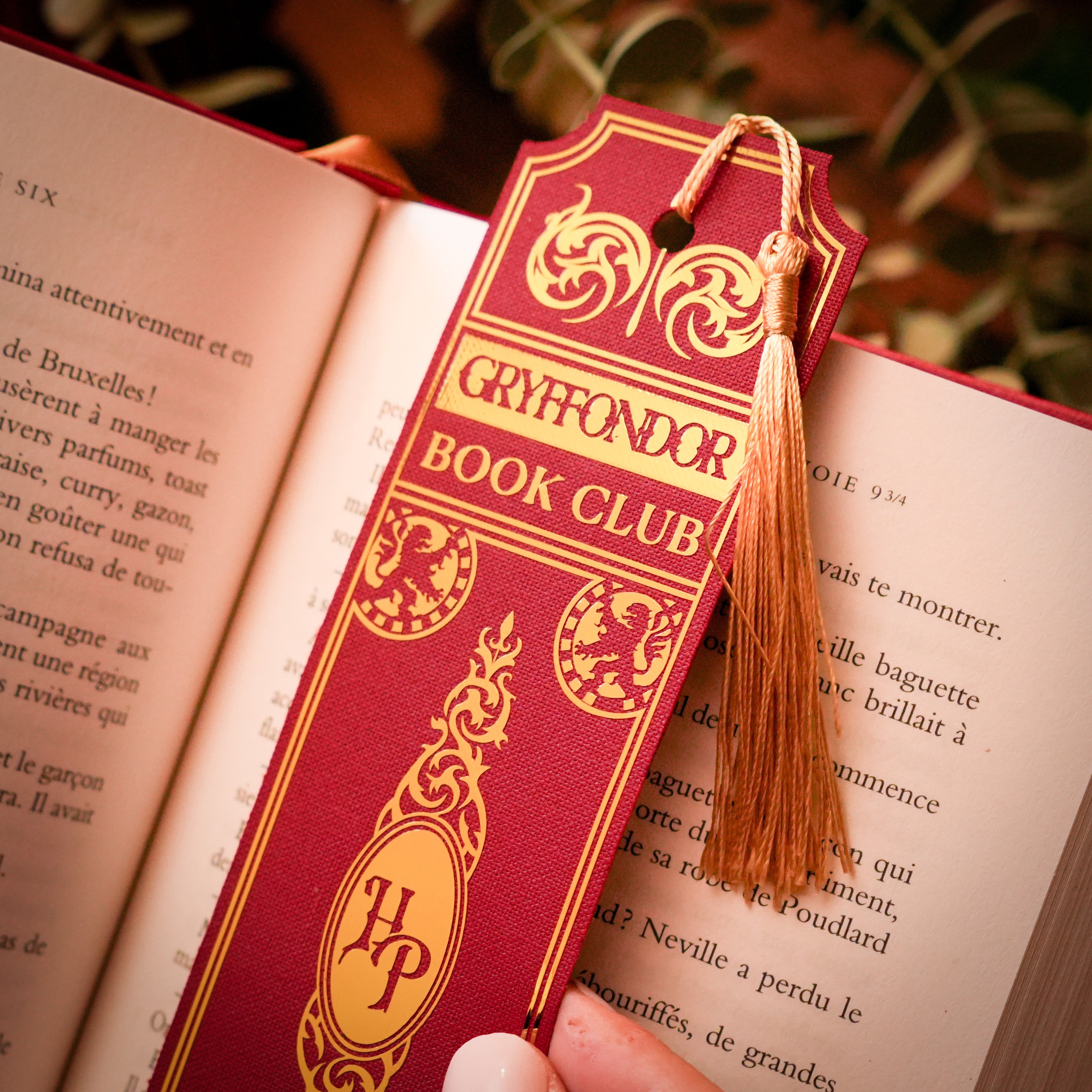 Accessoires Collector - HARRY POTTER