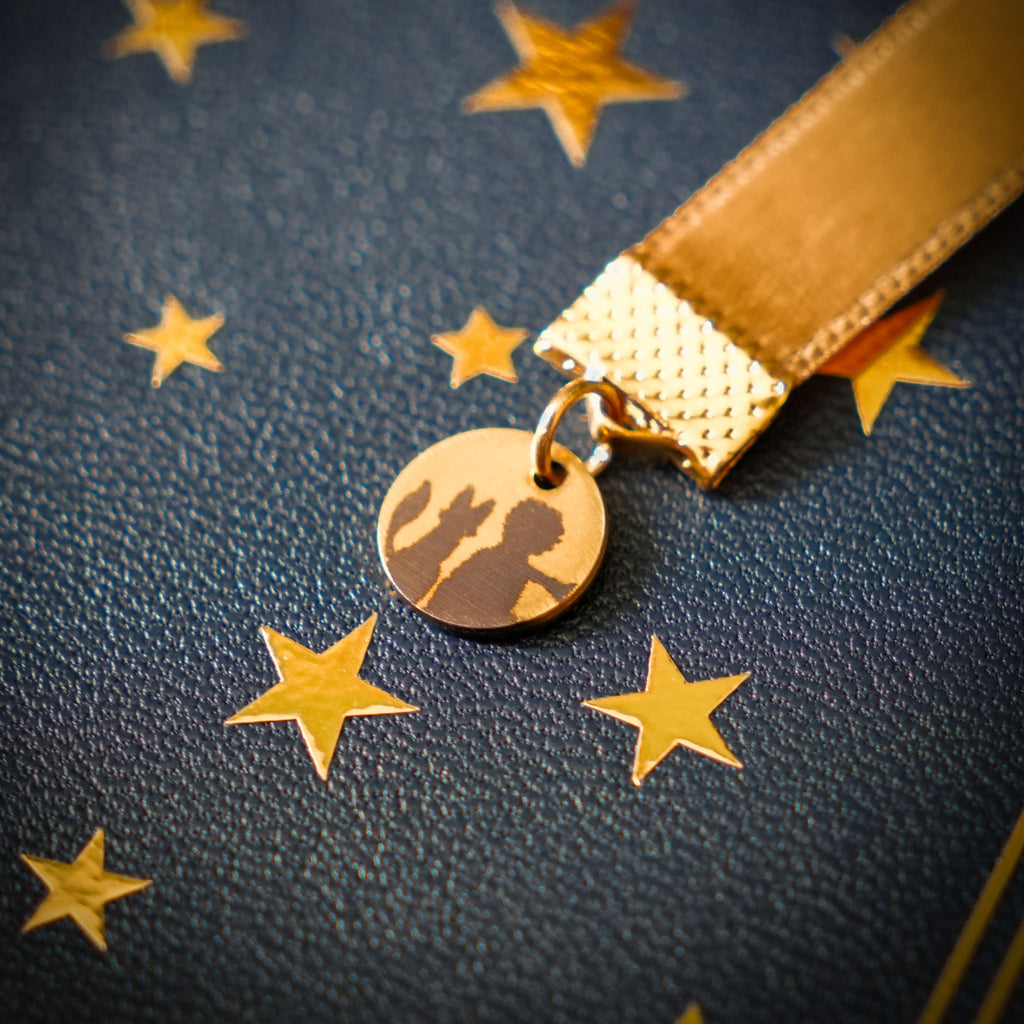 Le Petit Prince collector reliure cuir livre medaillon