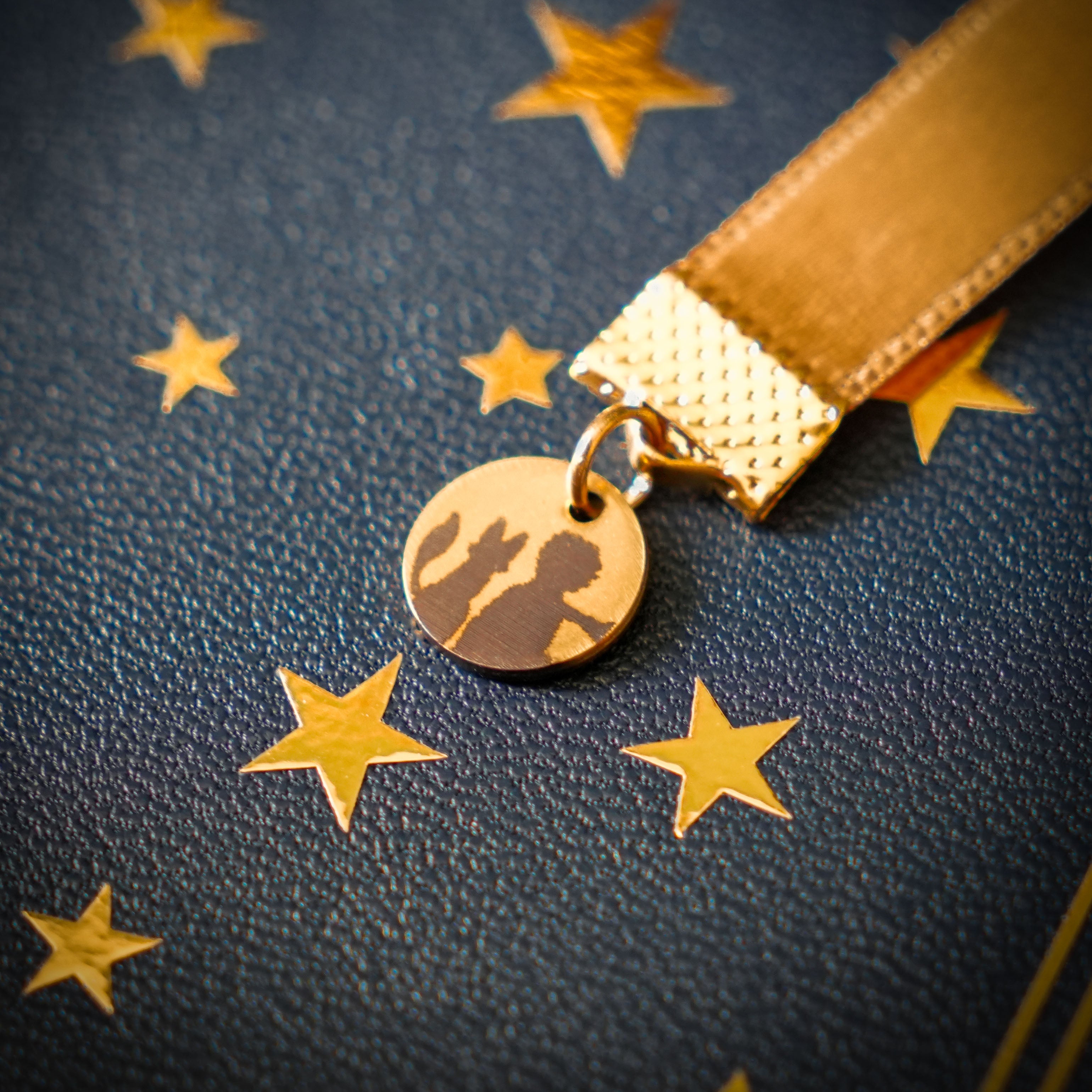 Le Petit Prince collector reliure cuir livre medaillon