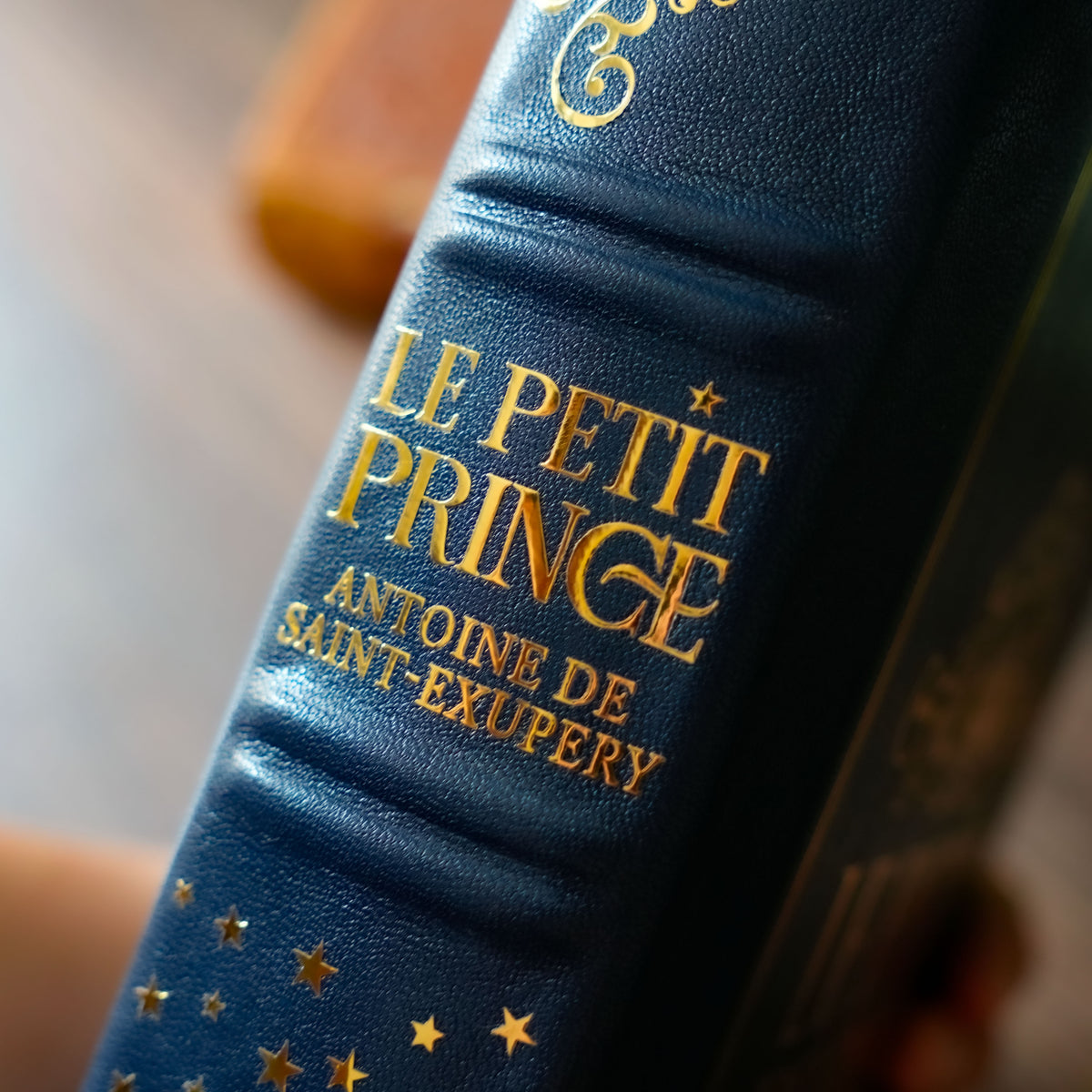 Le Petit Prince · Cuir