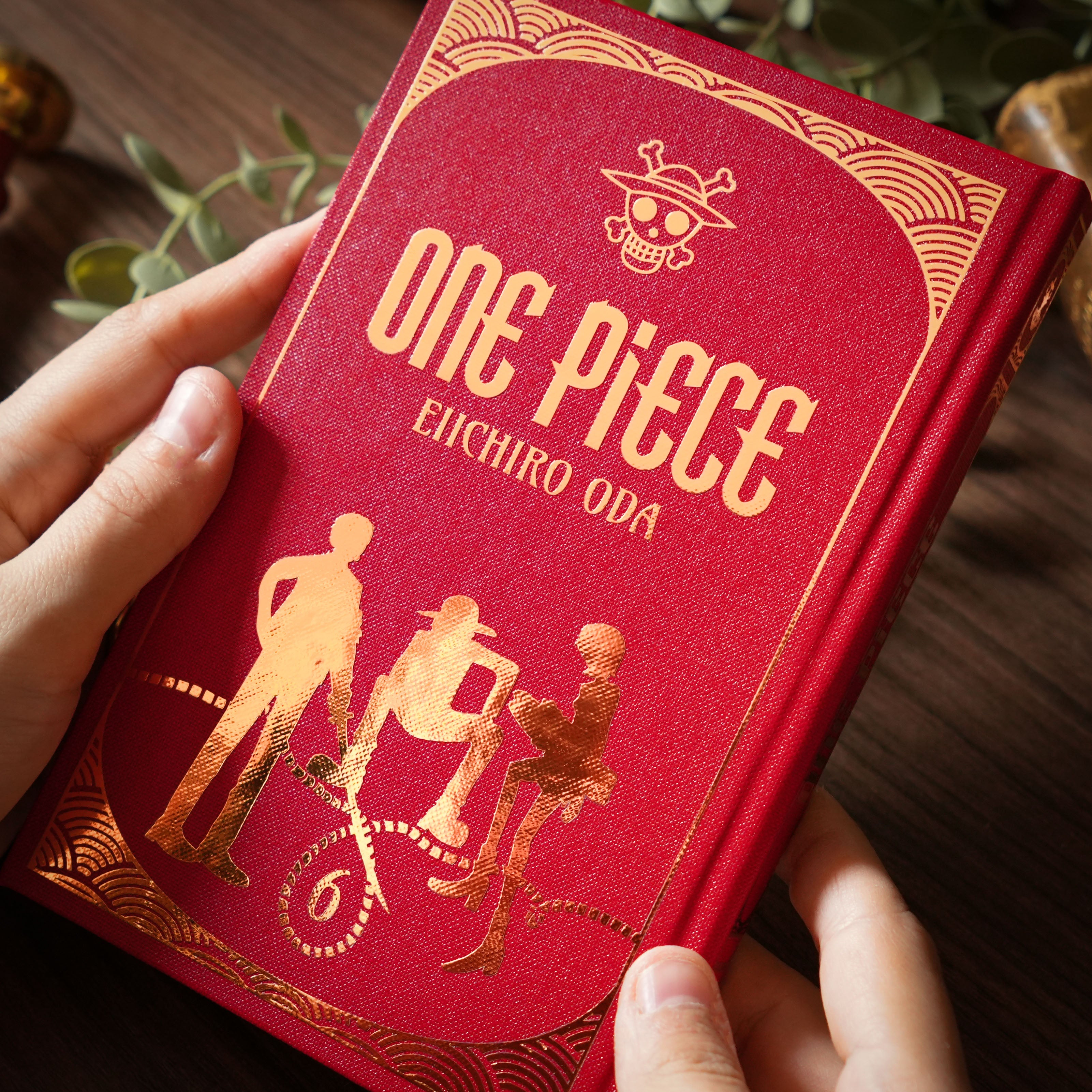 ONE PIECE - Reliés à la main (Tomes 1 à 6 disponibles)