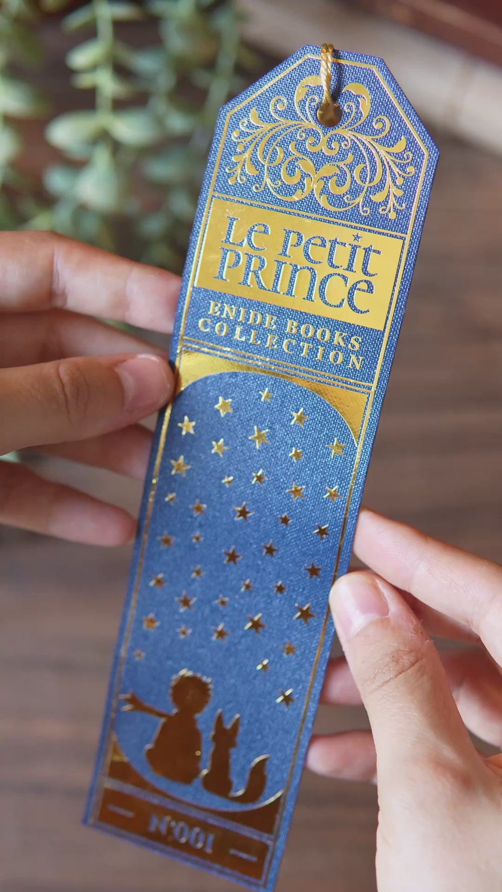 Accessoires Collector - LE PETIT PRINCE