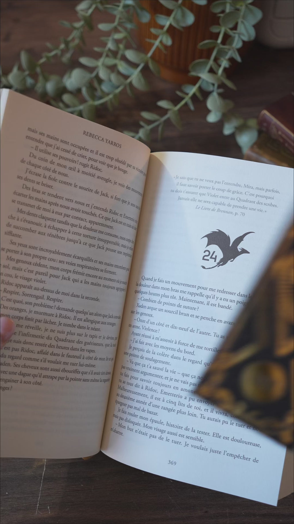 FOURTH WING - Accessoires Collector